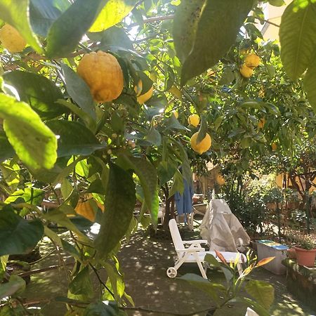 Il Giardino Nascosto Ξενοδοχείο Νάπολη Εξωτερικό φωτογραφία