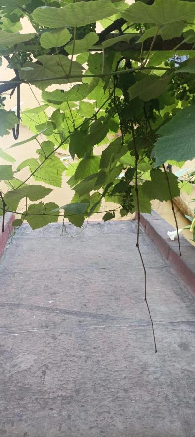 Il Giardino Nascosto Ξενοδοχείο Νάπολη Εξωτερικό φωτογραφία