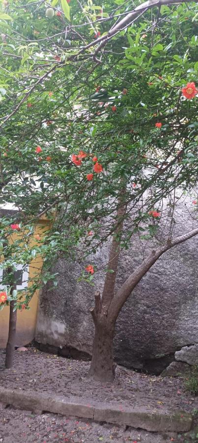 Il Giardino Nascosto Ξενοδοχείο Νάπολη Εξωτερικό φωτογραφία