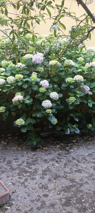 Il Giardino Nascosto Ξενοδοχείο Νάπολη Εξωτερικό φωτογραφία