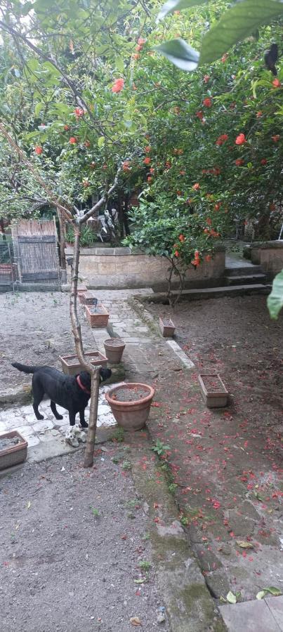 Il Giardino Nascosto Ξενοδοχείο Νάπολη Εξωτερικό φωτογραφία