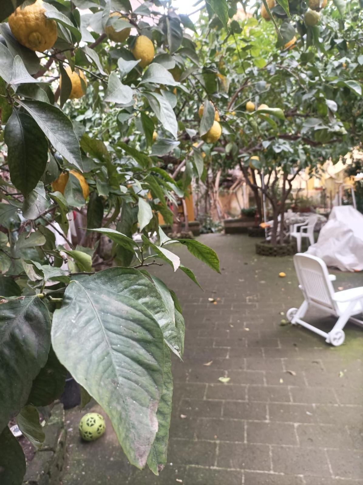 Il Giardino Nascosto Ξενοδοχείο Νάπολη Εξωτερικό φωτογραφία