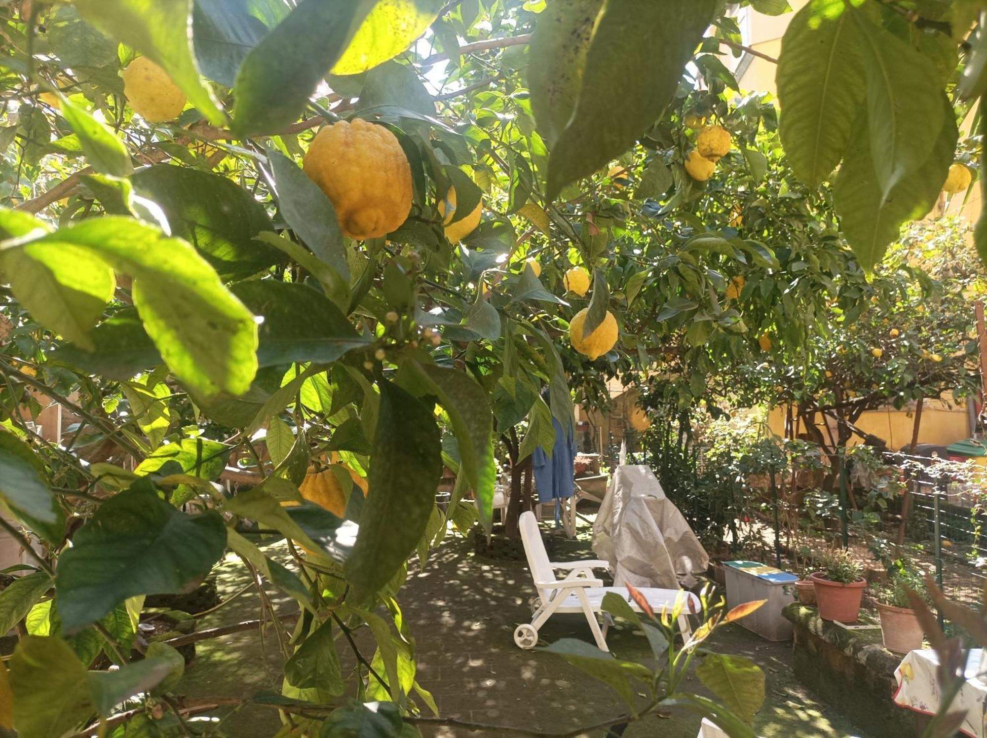 Il Giardino Nascosto Ξενοδοχείο Νάπολη Εξωτερικό φωτογραφία