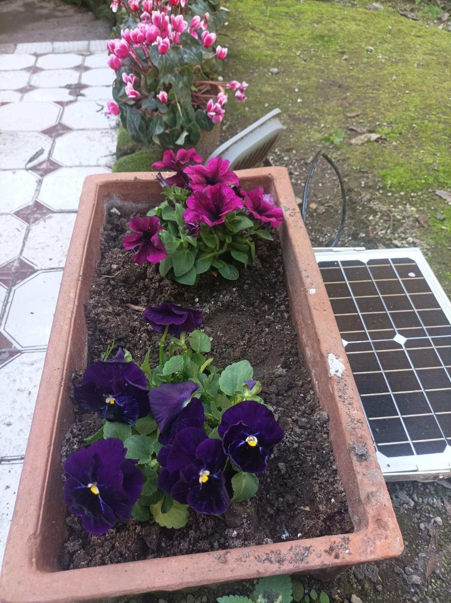 Il Giardino Nascosto Ξενοδοχείο Νάπολη Εξωτερικό φωτογραφία