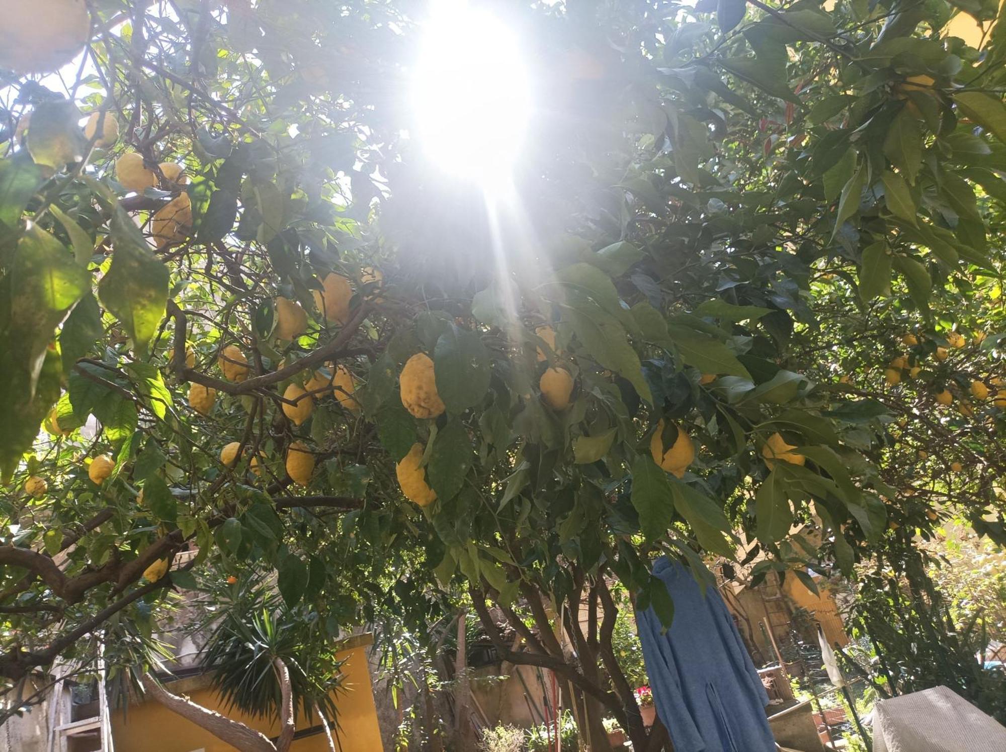 Il Giardino Nascosto Ξενοδοχείο Νάπολη Εξωτερικό φωτογραφία